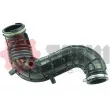 Gaine de suralimentation SEIM 981289 - Visuel 1