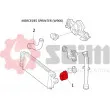 Gaine de suralimentation SEIM 981365 - Visuel 2