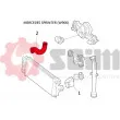 Gaine de suralimentation SEIM 981367 - Visuel 2