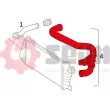 Gaine de suralimentation SEIM 981369 - Visuel 3