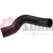 Gaine de suralimentation SEIM 981448 - Visuel 1
