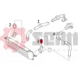 Gaine de suralimentation SEIM 981450 - Visuel 3