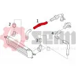 Gaine de suralimentation SEIM 981451 - Visuel 2