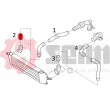 Gaine de suralimentation SEIM 981452 - Visuel 3