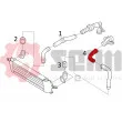 Gaine de suralimentation SEIM 981454 - Visuel 3