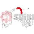 Gaine de suralimentation SEIM 981462 - Visuel 2