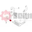 Gaine de suralimentation SEIM 981473 - Visuel 2