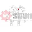 Gaine de suralimentation SEIM 981528 - Visuel 2