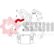 Gaine de suralimentation SEIM 981529 - Visuel 2