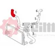 Gaine de suralimentation SEIM 981589 - Visuel 3