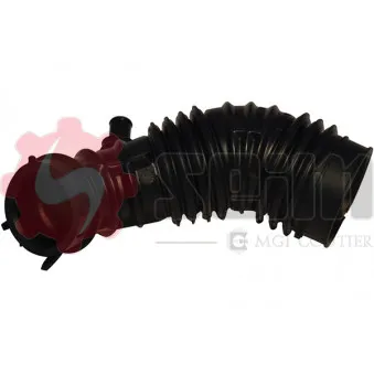 Gaine de suralimentation SEIM 981618