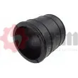 Gaine de suralimentation SEIM 981641 - Visuel 1