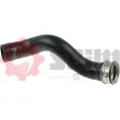 Gaine de suralimentation SEIM 981652 - Visuel 1