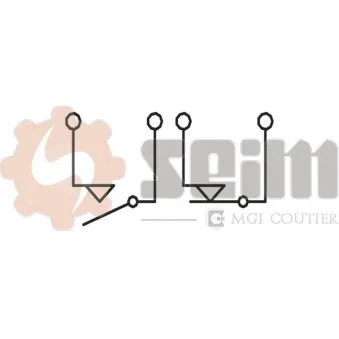 Commande, embrayage (régulateur de vitesse) SEIM CS127