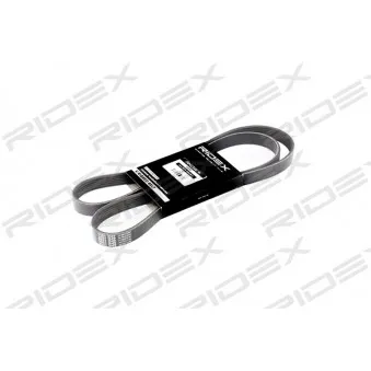 Courroie trapézoïdale à nervures RIDEX 305P0073