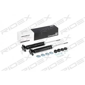 Jeu de 2 amortisseurs arrière RIDEX