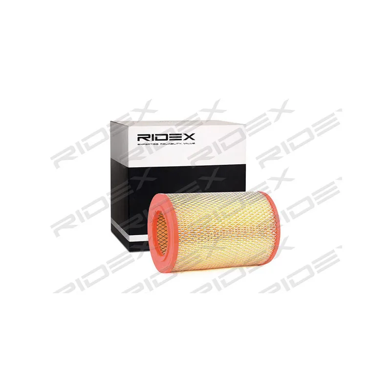 Filtre à air RIDEX 8A0358