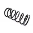 Ressort de suspension KYB RA1355 - Visuel 1