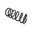 Ressort de suspension KYB RA1355 - Visuel 2
