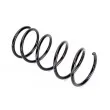 Ressort de suspension KYB RA1475 - Visuel 1