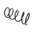 Ressort de suspension KYB RA1475 - Visuel 2