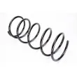 Ressort de suspension KYB RD5960 - Visuel 1