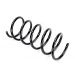 Ressort de suspension KYB RH2722 - Visuel 2