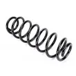 Ressort de suspension KYB RH6774 - Visuel 2