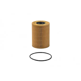 Filtre à carburant SCT GERMANY SC 7063 P