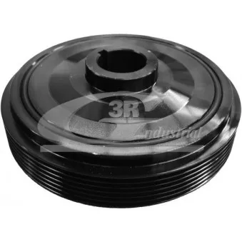 Poulie, vilebrequin 3RG 10202