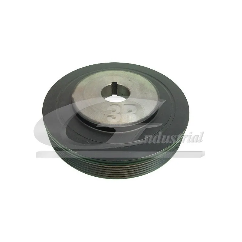 Poulie, vilebrequin 3RG 10205