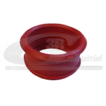 Gaine de suralimentation 3RG 81233