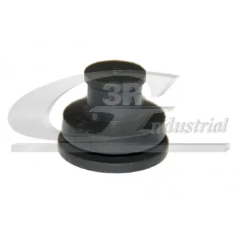 Cache moteur 3RG