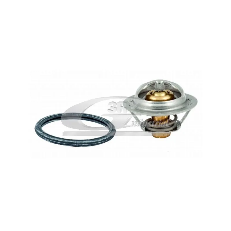 Thermostat d'eau 3RG 81619