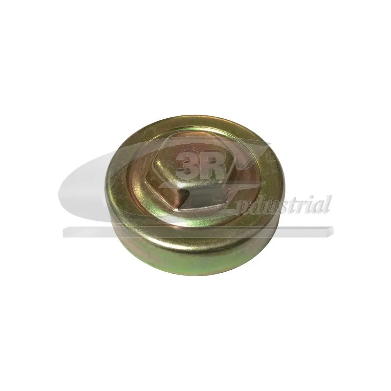 Bouchon de radiateur 3RG 81663