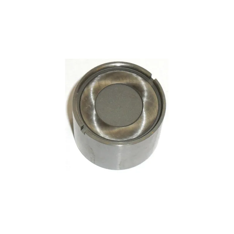 Poussoir de soupape FRECCIA PI 03-101