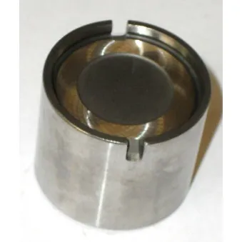 Poussoir de soupape FRECCIA PI 03-105