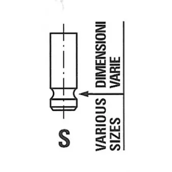 Soupape d'admission FRECCIA R6138/S
