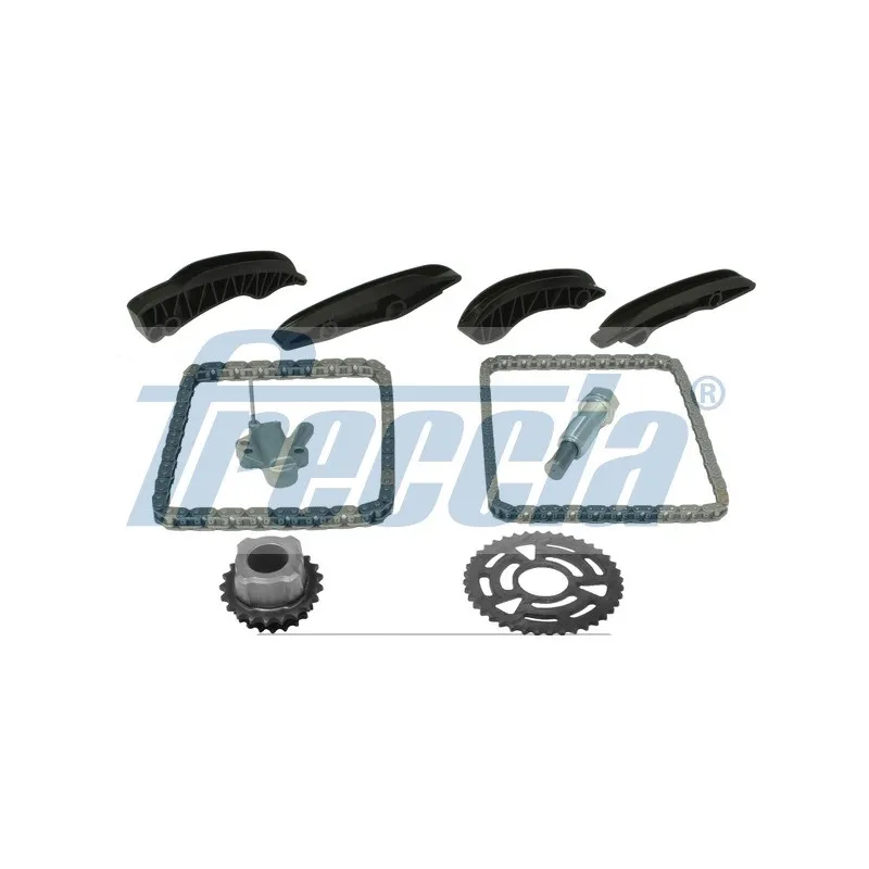Kit de distribution par chaîne FRECCIA TK08-1018