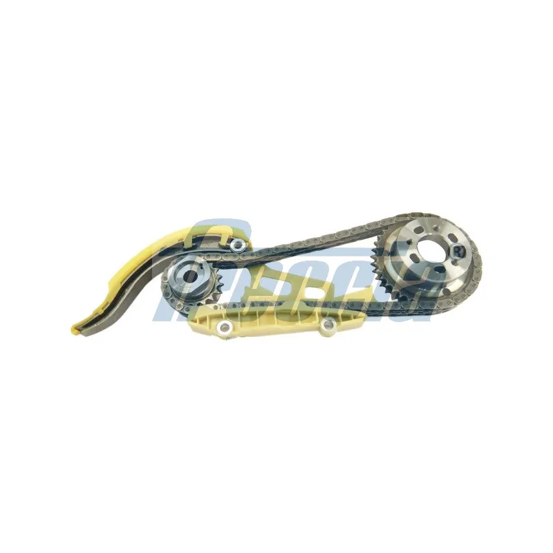 Kit de distribution par chaîne FRECCIA TK08-1023
