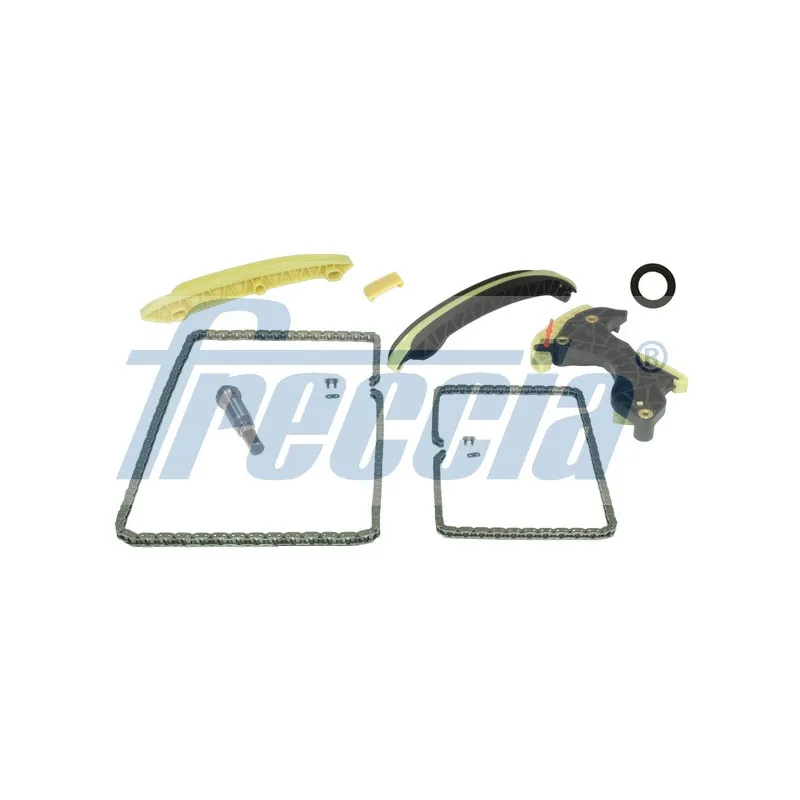 Kit de distribution par chaîne FRECCIA TK08-1029