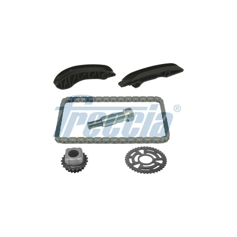 Kit de distribution par chaîne FRECCIA TK08-1063