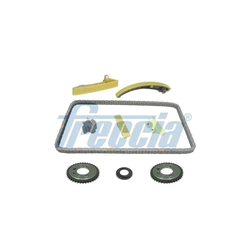 Kit de distribution par chaîne FRECCIA TK08-1074