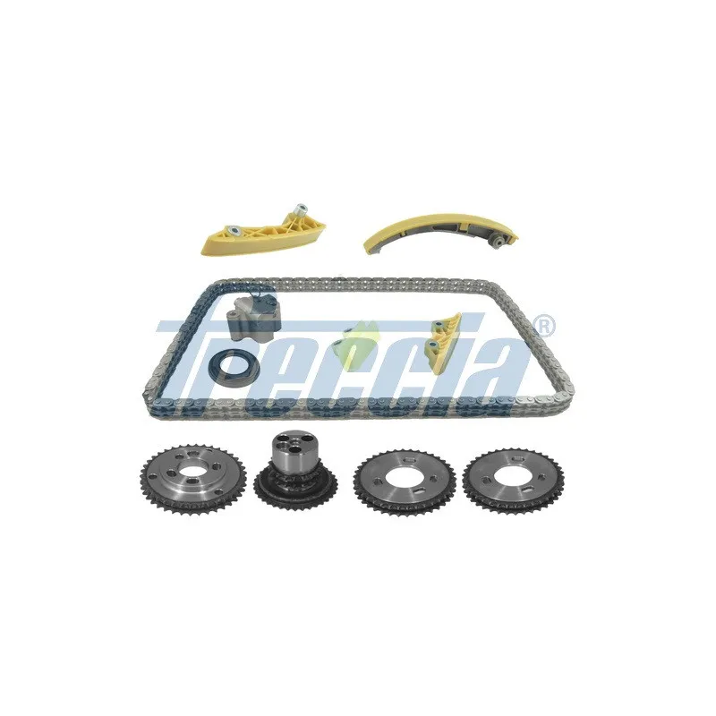 Kit de distribution par chaîne FRECCIA TK08-1077