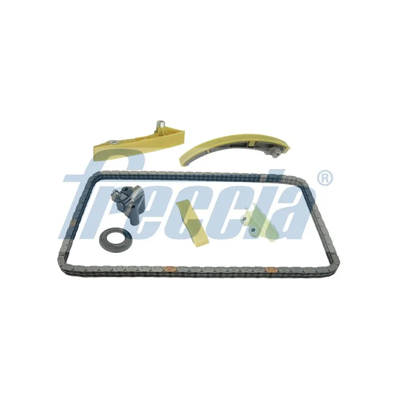 Kit de distribution par chaîne FRECCIA TK08-1098