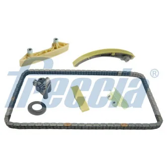 Kit de distribution par chaîne FRECCIA TK08-1099