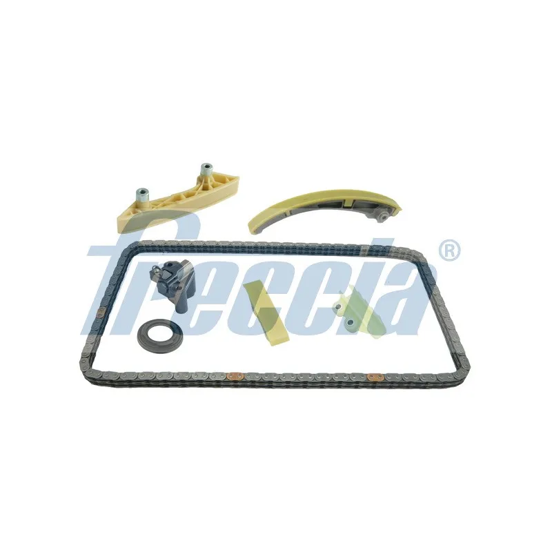 Kit de distribution par chaîne FRECCIA TK08-1099