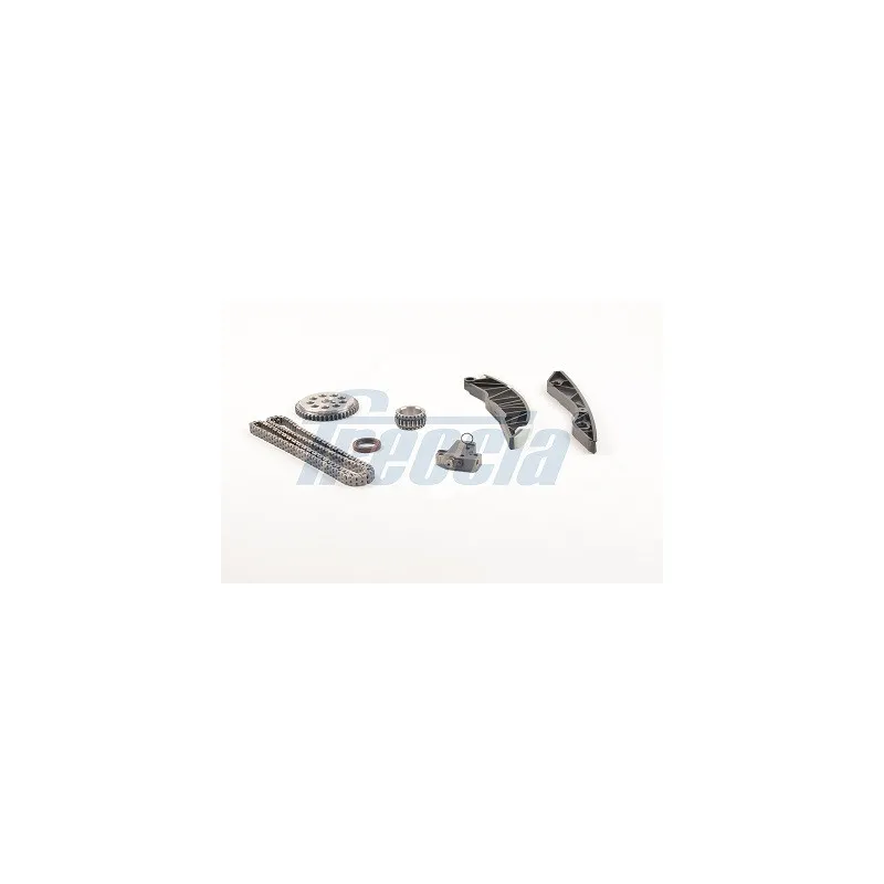 Kit de distribution par chaîne FRECCIA TK08-1117