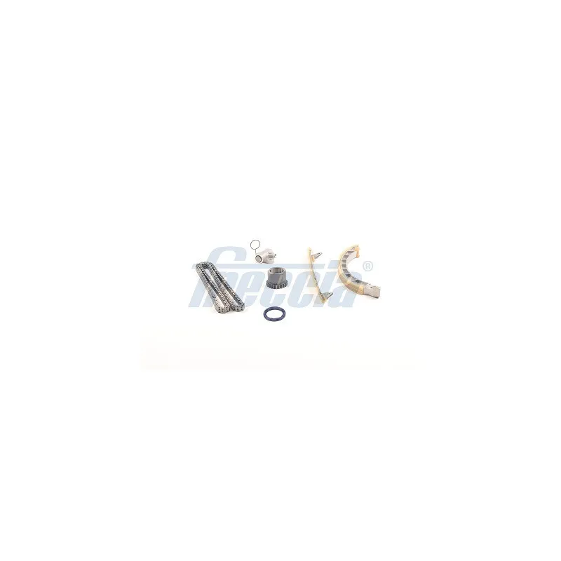 Kit de distribution par chaîne FRECCIA TK08-1121