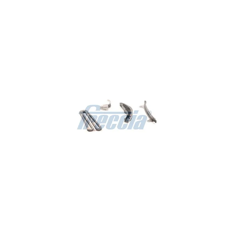 Kit de distribution par chaîne FRECCIA TK08-1138